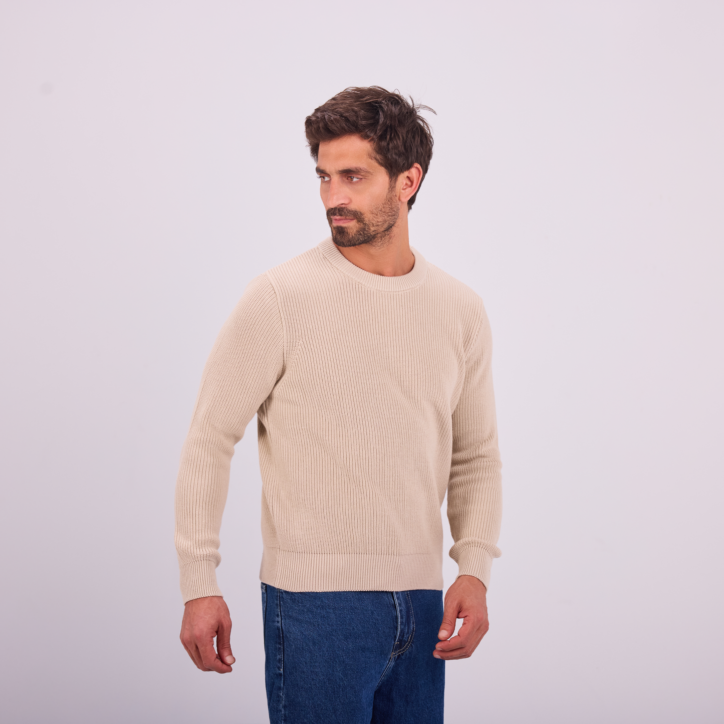 Beige Knit Crewneck Pullover