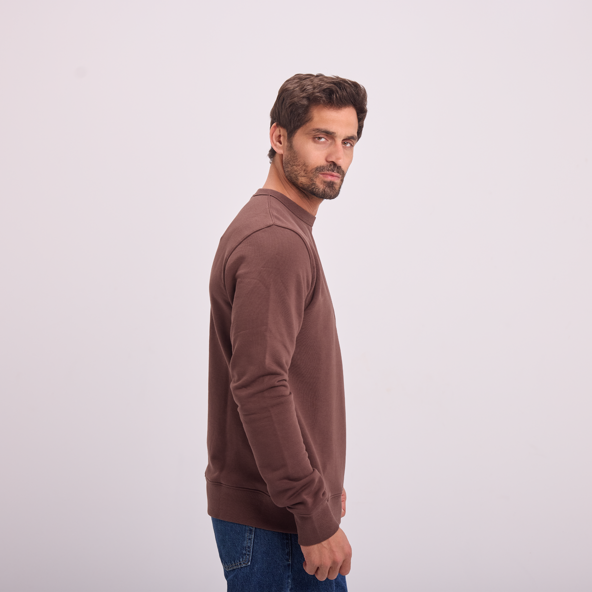 Essential Crewneck Sweatshirt in Brown, SVNTY, view 3 of 6