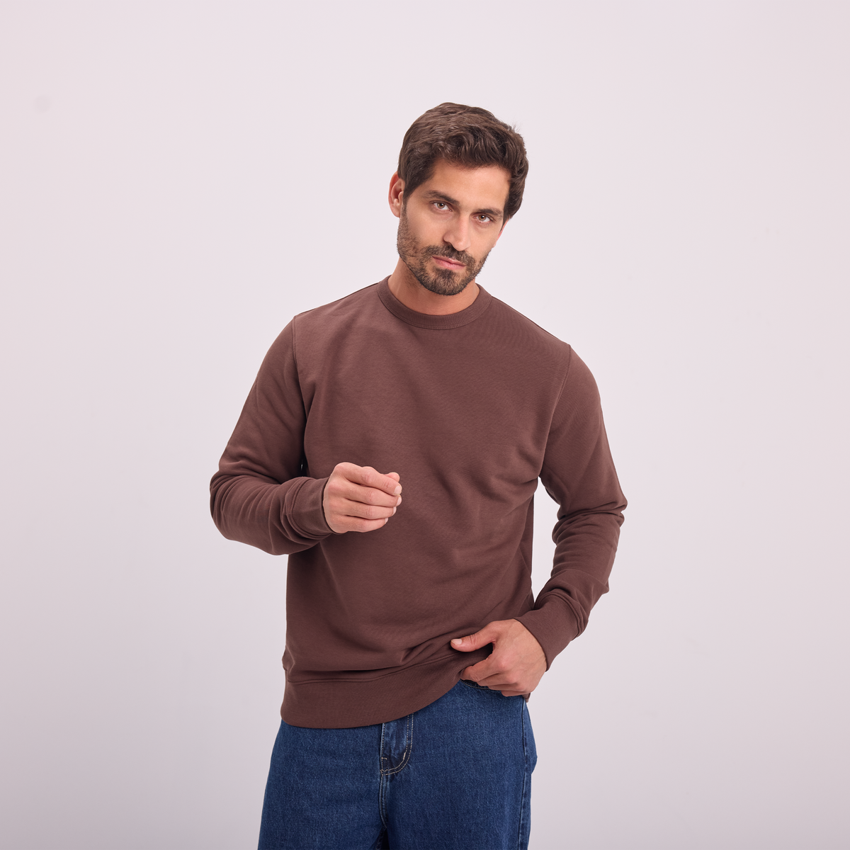 Essential Crewneck Sweatshirt in Brown, SVNTY, view 5 of 6
