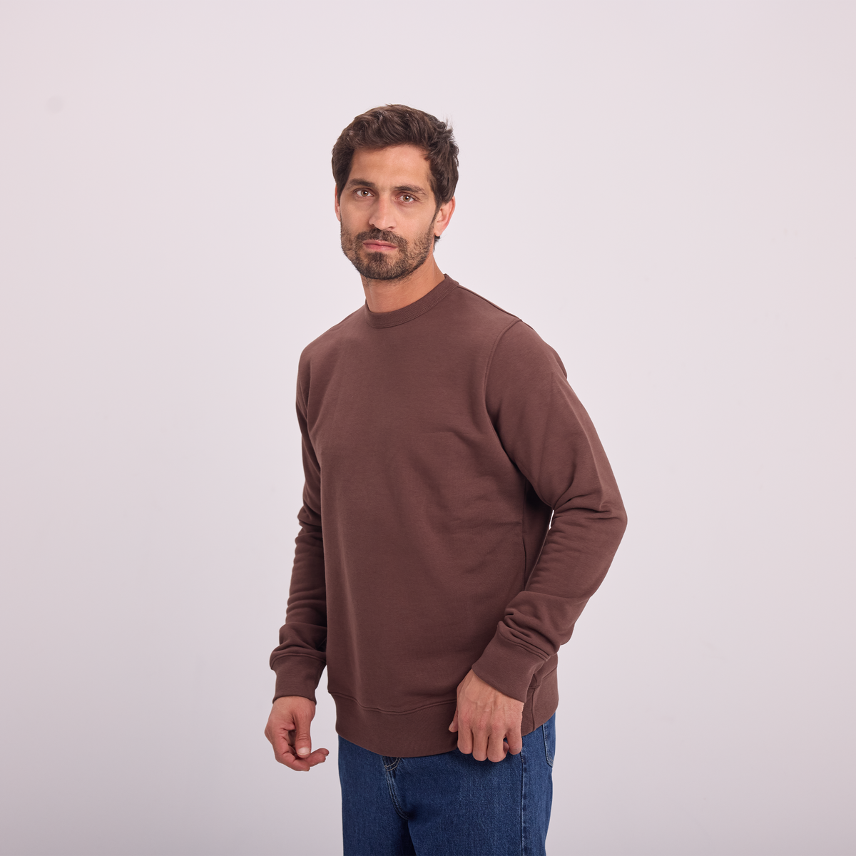 Essential Crewneck Sweatshirt in Brown, SVNTY, view 6 of 6