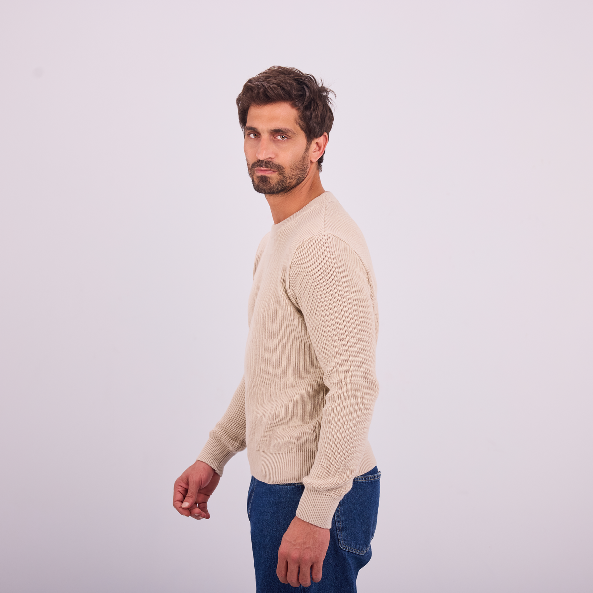 Knit Crewneck Pullover in Beige, SVNTY, view 4 of 5