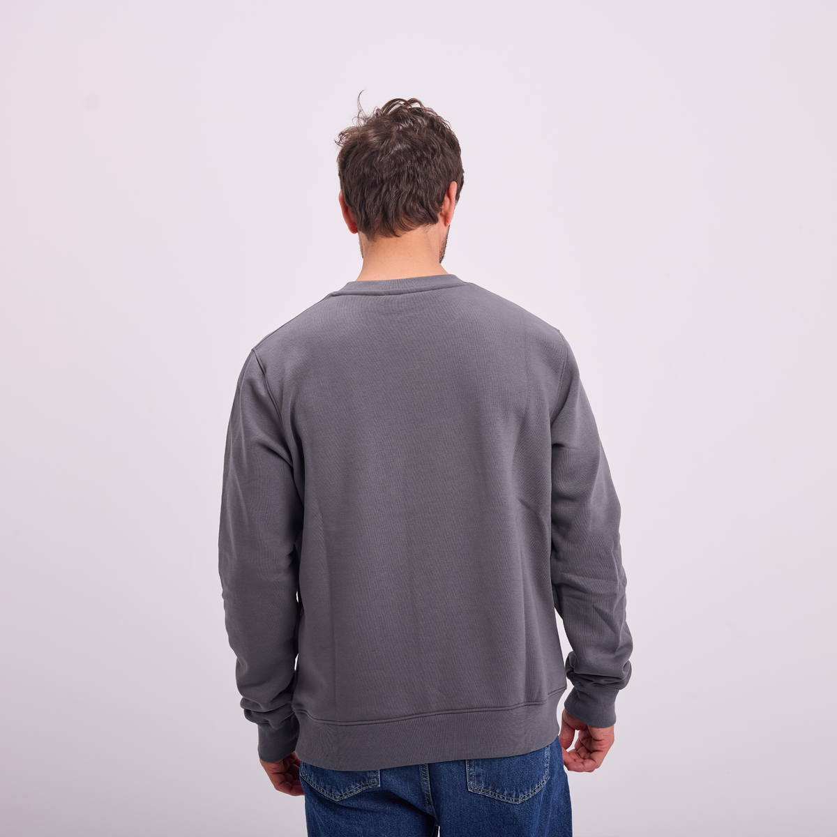 Logo Print Crewneck in Gray, SVNTY, view 3 of 6